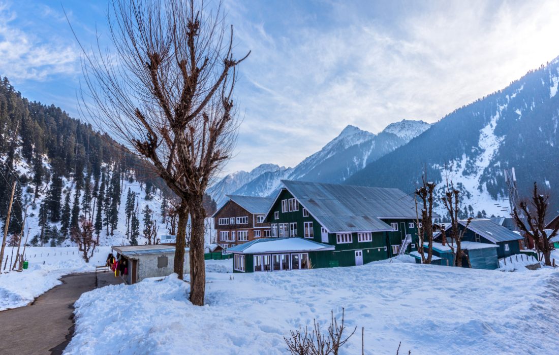 Sightseeing in Pahalgam